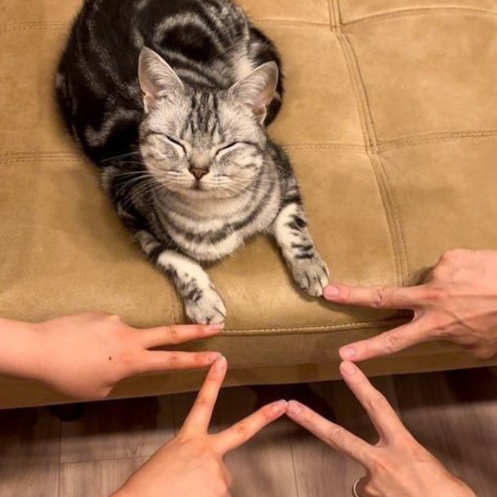 Meet your Posher, Mika